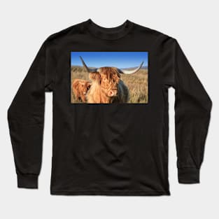 Highland Cow in the Field Long Sleeve T-Shirt